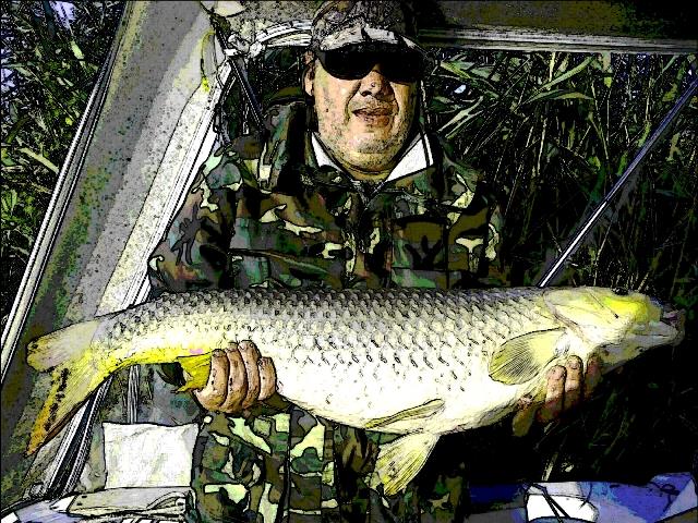 prelucrari - picsart1382195112650.jpg